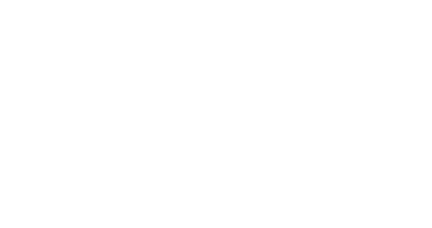 thinkfox studio logo weiß